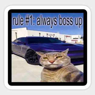 Rule #1 Always Boss Up Cat Meme Tee - Funny Shirts, Parody Tees, Funny Cat, Cat Meme, Meme Shirts, Funny Gift Sticker